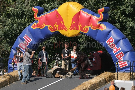 3. Red Bull Seifenkistenrennen (20060924 0025)